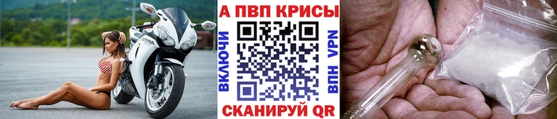 Купить закладки  Шагонар  A-PVP Соль 