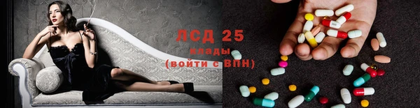 гидра Нея