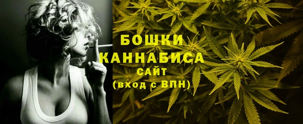 гидра Нея