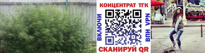 Купить закладки  Шагонар  ТГК THC oil 